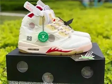 Air Jordan 5