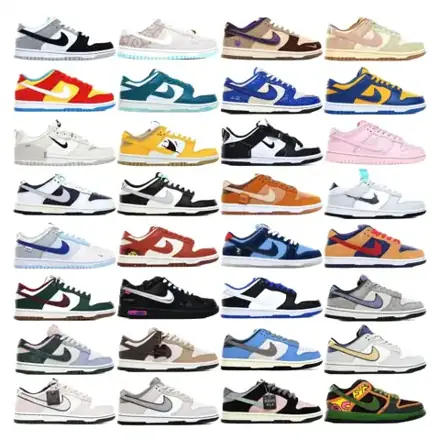 Nike Dunk Sneakers